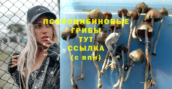 кристаллы Новозыбков