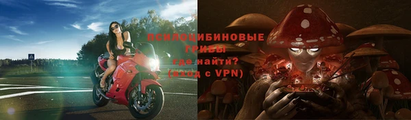 круглые Новодвинск