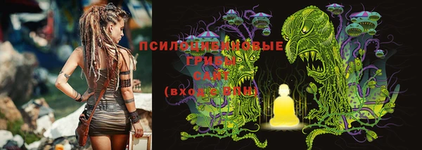 кристаллы Новозыбков