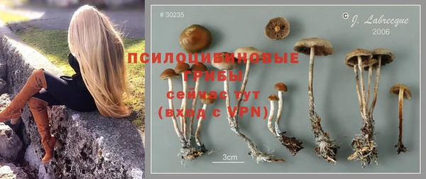 кокс Новокубанск