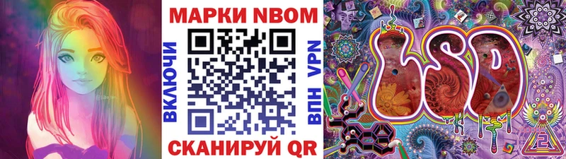 Марки NBOMe 1,8мг  гидра ссылки  Курчатов 