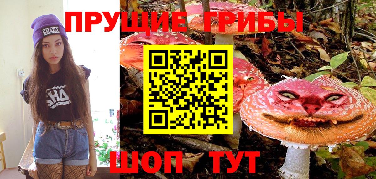 Курчатов  Галлюциногенные грибы ЛСД  Вход с VPN 