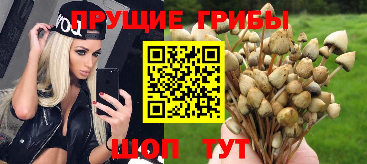 Галлюциногенные грибы мицелий Курчатов