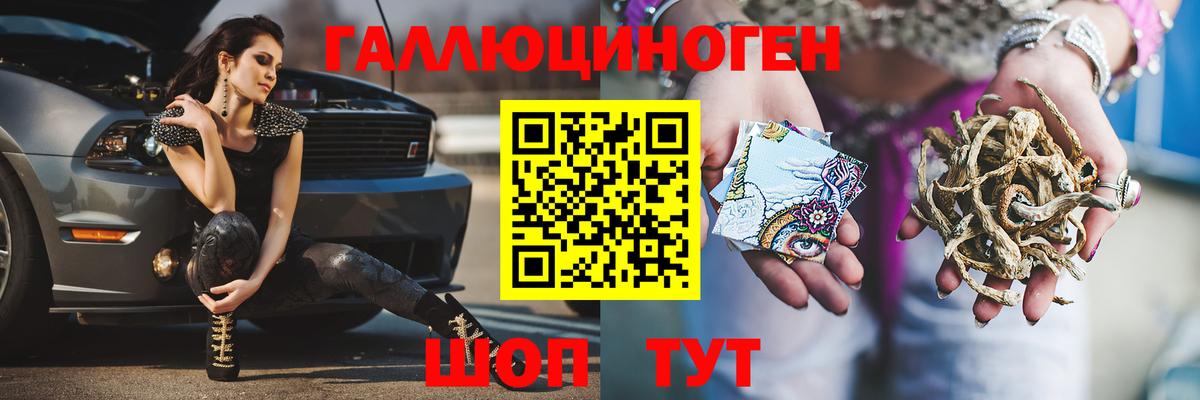 Галлюциногенные грибы GOLDEN TEACHER  Галлюциногенные грибы ЛСД  Курчатов 